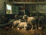 unknow artist Sheep 098 oil on canvas